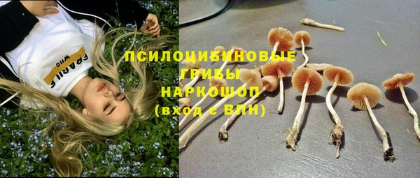 дмт Балахна